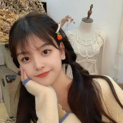 芭比姐妹之追逐的小狗