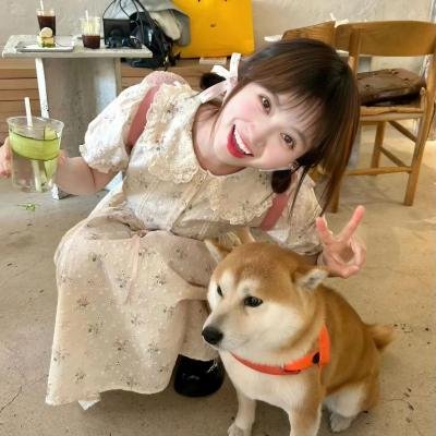 海豚之眼